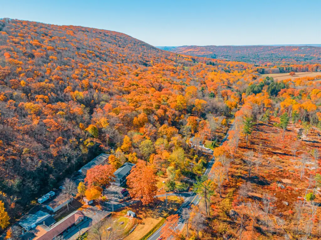 111e3ee556ad4be5bd93ce57da4a7959 LargeOriginal.jpg