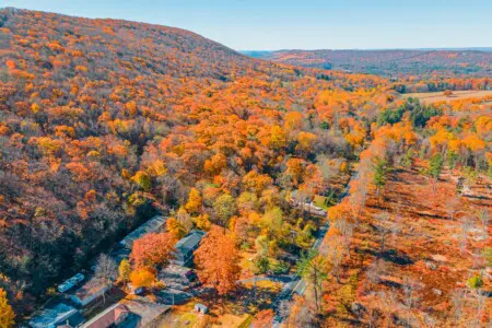 111e3ee556ad4be5bd93ce57da4a7959 LargeOriginal.jpg