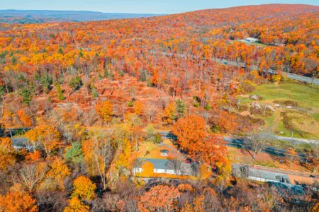 8bfc2cd16f70408294c04f9034651e8b LargeOriginal.jpg