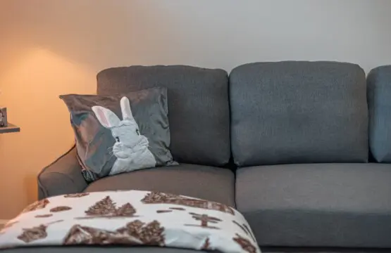 8c83696580fa42e79fb55bb282bb85a2 LargeOriginal.jpg