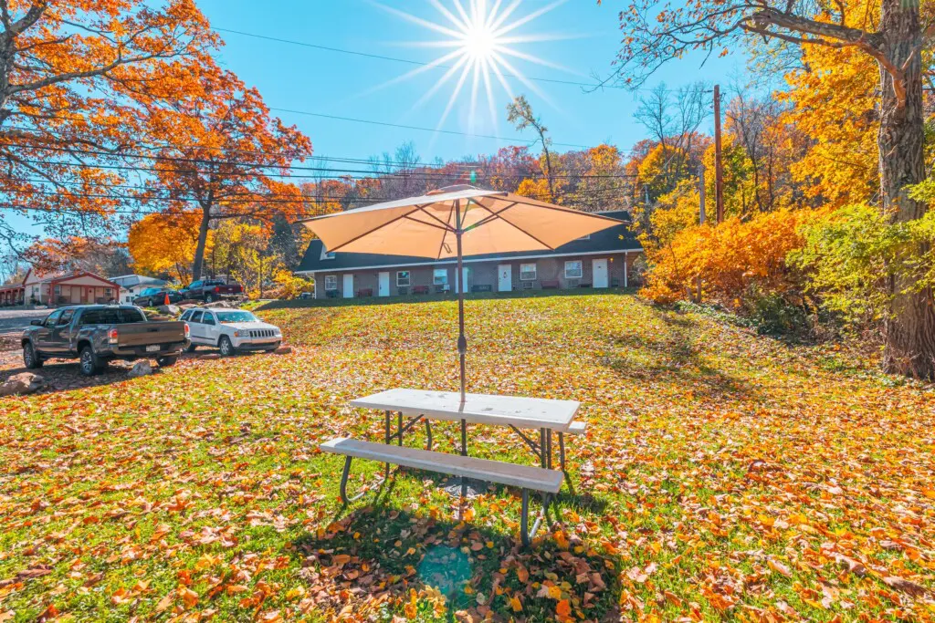 af9569ccae2f4767b2570ff6a8cf4f31 LargeOriginal.jpg