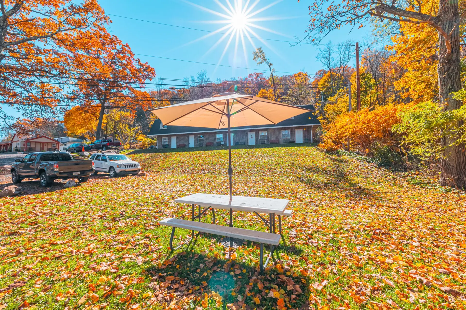 af9569ccae2f4767b2570ff6a8cf4f31 LargeOriginal.jpg