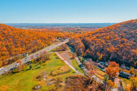 c3ed7786e2854708b8b20154e8bc331a LargeOriginal.jpg